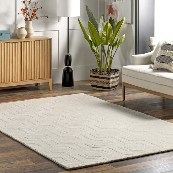 Nuloom Hand Woven Ambrose Area Rug 6ft x 9ft RUCS03B-609 - main